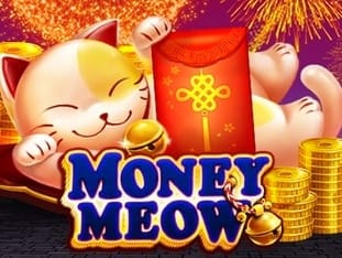 Money Meow game screenshot