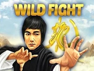 Wild Fight game screenshot